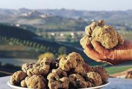 Cooking courses in Tuscany, Italy